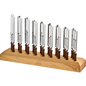 Video Meinl Sonic Energy TF-CH Chiron Planetary Tuning Fork 